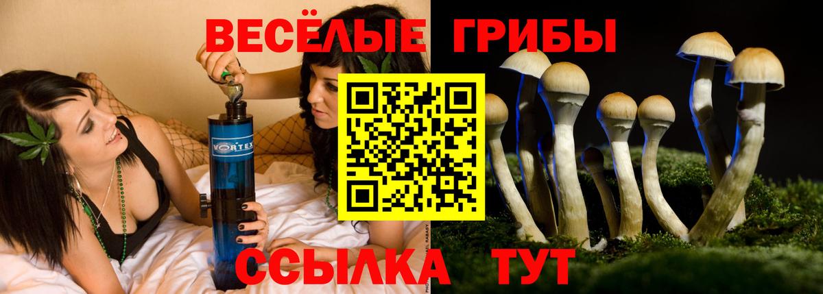 Псилоцибиновые грибы мухоморы Острогожск
